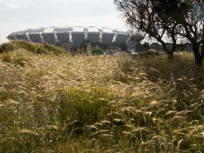 Il nostro punto di partenza � il raccordo Giuseppe Rossi, che ci permette attraverso la provinciale 110 Modugno-Carbonara di accedere alla zona dello stadio. Tra il raccordo e quest�ultima strada si trova un�area di campagna che racchiude i primi tre siti che andiamo a visitare